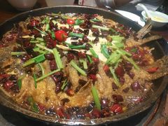 -老板恋上鱼(荣盛广场店)