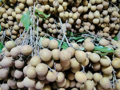 龙眼-港华水果街(港华广场店)