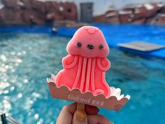 -上海海昌海洋公园