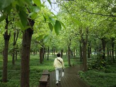 -嘉北郊野公园