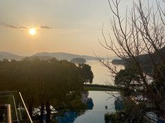 -逸廊大堂吧-下午茶·简餐-千岛湖自由洲际殿