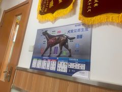 -宠福鑫动物医院(城北分院)