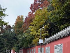 -妙峰山风景名胜区