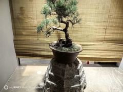-长禧家·珑厨(东山口店)