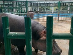 -郑州市动物园