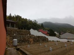 -雪峰寺