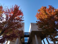 -清华大学艺术博物馆