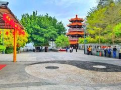 -神光山国家森林公园