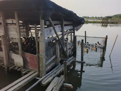 -恒盛海鲜餐厅