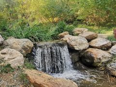 -大连植物园