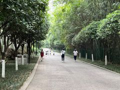 -重庆彩云湖湿地公园
