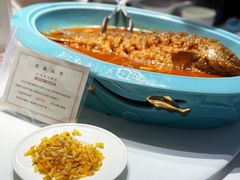 -阿五黄河大鲤鱼(英协路店)