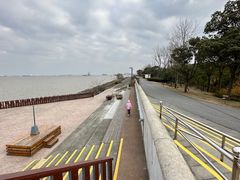 -上海滨江森林公园