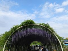 -同里国家湿地公园