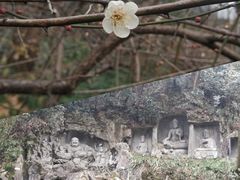 -东丽温泉羽毛球