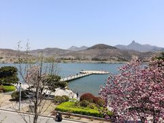-松月湖大酒店
