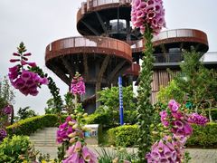 -芒洲湿地公园