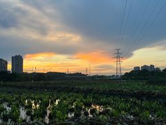 -南宁南湖公园