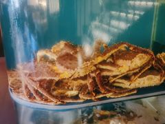 -蟹田居·活蟹料理(东城店)