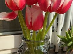 -循礼门鲜花花市(武汉循礼门店)