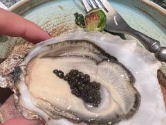 -普朗姆生蚝牛排馆 The Plump Oyster(成都摩方购物中心店)