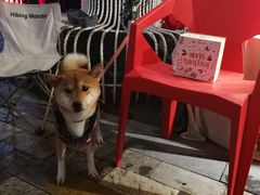 -老外街