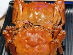 -红盔甲·小龙虾(车公庙店)