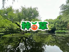 -柳浪闻莺公园