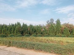 -南沙蒲洲花园