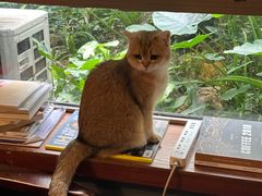 -咖法森林·咖啡  酒吧(天河店)