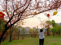 -东岳体育公园