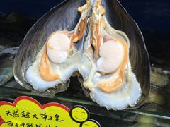 -蚝专家(北滘店)