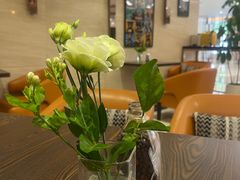-NOVAE CAFE 咖啡·可颂(望京店)