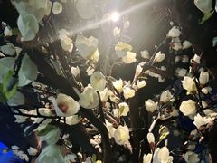 -仟汇足道·SPA(秀洲总店)