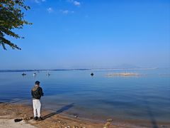 -观澜湖底捞(观澜墅店)