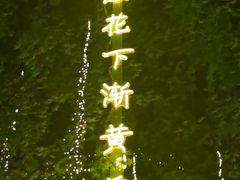 -名创优品(陕西西安大唐西市购物中心店)