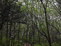 -棋盘山风景区