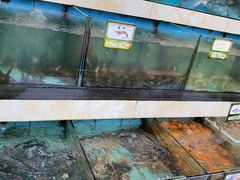 水产区-秋姐美食店(旅游大道店)