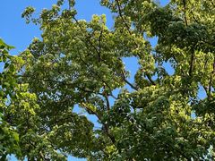 -南通博物苑-崇川人民公园