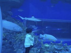 -成都浩海立方海洋公园