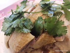 -振鼎鸡(丰庄路店)