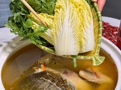 -金龙·打边炉(南京西路店)