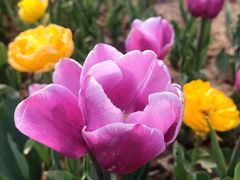 -廊坊文化艺术中心