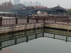 -洋湖国家湿地公园