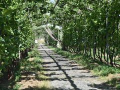-亲兄弟真人CS团建拓展基地