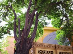 -艾提尕尔清真寺