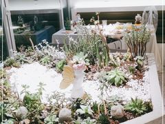 -春树下·树屋花房西餐厅(罍街AS1980店)