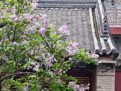 -西安市广仁寺