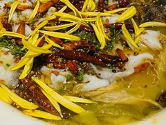 -新太二·鲜料川菜(智慧城广百店)