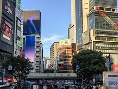 -涩谷区